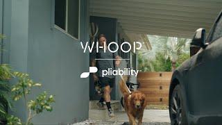 Introducing: pliability + WHOOP with Noah Ohlsen