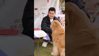 老婆要開心，生活才舒心；男人要吃苦，才能開路虎。#金毛路虎