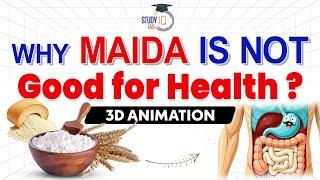 Why Is Maida Harmful For Our Health? Explained With 3D Animation