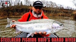 Steelhead Fishing Ohio's Grand River