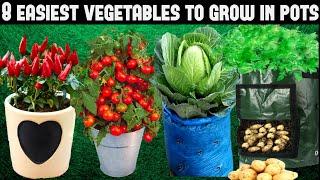 Top 8 Easy To Grow Vegetables For Beginners|SEED TO HARVEST