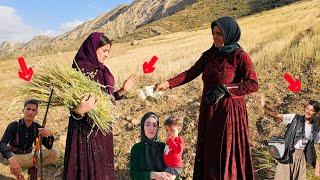 Zalfa's nomadic life in the mountains effort to work for the future of Aida and Sky 