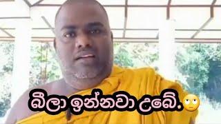 Rajangane hamuduruwo live | රාජාන්ගනේ හාමුදුරුවෝ | funny videos @pissosoyanna