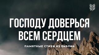 Памятные стихи из Библии. Современный перевод Библии #biblevision