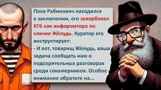 ️ Информатор по Кличке Жёлудь! Еврейские Анекдоты! Выпуск #433