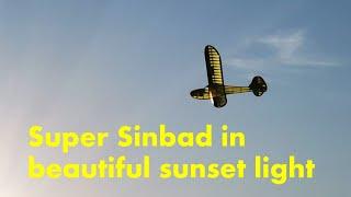 Relaxing flight with my 2m Super Sinbad