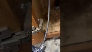 Kitchen sink drain cleaning #drain @drainbrain12 #sink #draincleaning #plumbing #plumbingvideos