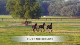 Farms And Ranches For Sale In Ocala Florida with Lana Flodman - NW Ocala for sale