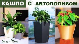 Кашпо с автополивом Green Sun / HydroSystem в кашпо с автополивом