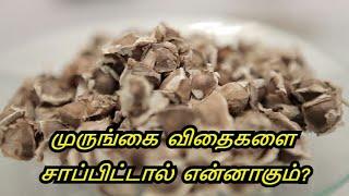 Benefits of Moringa Seeds in Tamil | Drumstick Seed | murungakkai Veethai Payangal in Tamil.