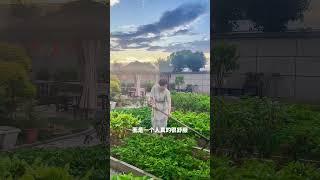 不打麻将不打牌，就喜欢在小院里种菜养花，过着与世无争的生活农家小院 我的乡村生活 我的小菜园 小院时光