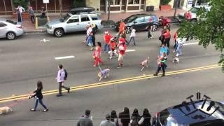 STQ Presents: 2015 San Diego Gaslamp Pet Parade (Full Parade)