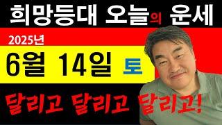 희망등대 매일운세 6월14일 일일운세 말 달리고 달리고 달리고 그런데 어디로 가나? 사주상담  010.5571.9666 / 오늘의 운세 사주팔자 금전운 궁합 애정운