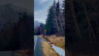 #fypviral #nature #beautifulcreationofGod