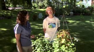 Home Garden of the Matthews in Miami, Oklahoma