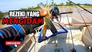 UDANG GALAH SUNGAI KUANTAN #vlog139 #unlimitedfishing #unlimitedhobby