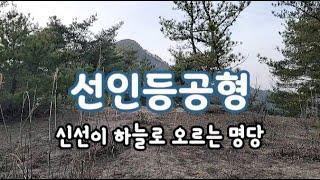 신선이 하늘로 오르는 선인등공형 명당 #풍수 #명당