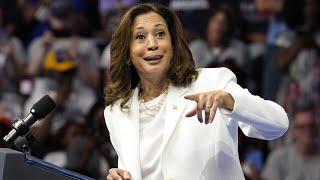 ‘Serious’: Kamala Harris being ‘abandoned in droves’ by key demographic groups