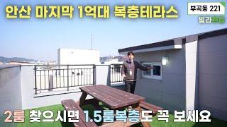 안산신축빌라 마지막 1억대 복층테라스! 부곡동에서 좋은 위치에 마지막 1세대! 2인가구에 2룸 찾고 계시면 1.5룸복층도 꼭 보세요! 탑층에서만 누릴수 있는 테라스 감성 누리세요!