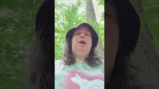 Mystic's Insights on Dinosaurs Episodes #20 & #21