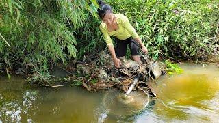 Restoring a Waterlogged Motorbike - Unbelievable Transformation! | Mechanic girl