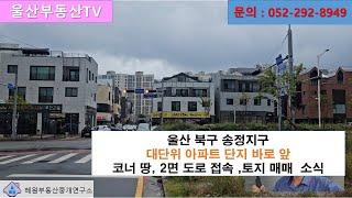 [울산부동산TV] 울산 북구 송정지구 큰대로변 토지 매매  소식