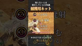 知らない人が意外と多い効率重視の捕獲用ネット【モンハンワイルズ】【ネタバレ注意】【初見攻略】【昏咲ネイ】【Steam版】
