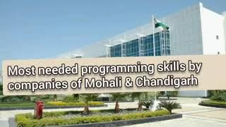 Top IT jobs in Punjab (Chandigarh and Mohali) | Skills you need to get job | Programming languages