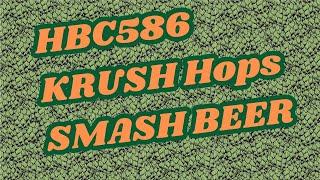 What do Krush Hops Taste like?  SMASH Beer Experiment - Brew Dudes