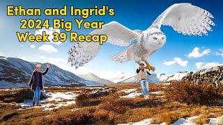 Ethan and Ingrid's 2024 Big Year (Week 39)