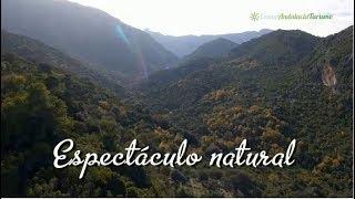 Espectáculo Natural, Sierra de Grazalema, Cádiz