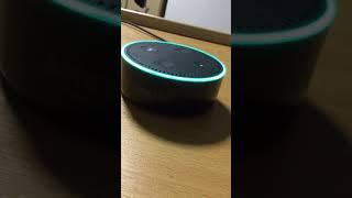 Amazon Alexa - The Magic Door