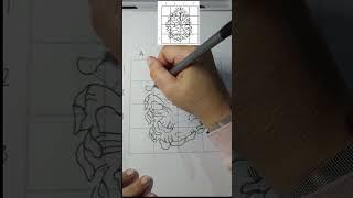 How to draw a fir cone - sketch idea- drawing idea #timelapse