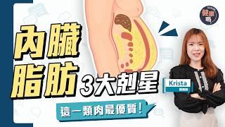 多菜少肉也內臟脂肪高？營養師拆解3大剋星｜兩種營養加速減脂 誰多吃誰更瘦｜2招自測中央肥胖危機｜健康嗎‪@HealthCodeHK 【Chat醫D】#內臟脂肪 #優質肉 #fat