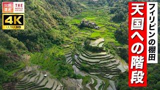 【4K】絶景の棚田！天国への階段・・・　Cordillera Mountains, Philippine.