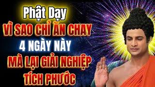 Chỉ Ăn Chay 4 Ngày Này Trong Tháng - Giải Nghiệp, Tích Phước. Lời Phật Dạy!