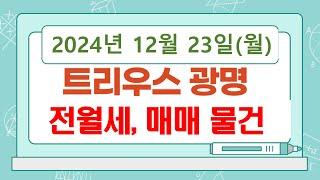 트리우스광명 12월 23일 일선현장 전월세 및 추천 매매 물건입니다.