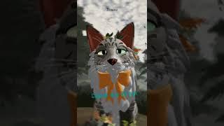 Тебе было 56 лун... | warrior cats ultimate edition #роблокс #roblox #wcue