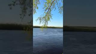 Тюмень️У реки Тура #shorts #тюмень #тура #beautiful
