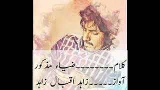 Poet Zia Mazkor/ضیاء مذکور/Urdu poetry/Qalam Qabeela