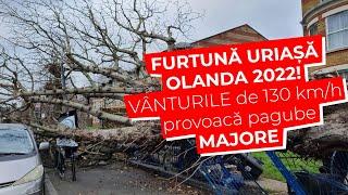 FURTUNĂ URIAȘĂ OLANDA 2022! VÂNTURILE de 130 km/h provoacă pagube MAJORE