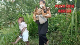 KUKU with mom rescues dog! KuKu helps mom bathe poor dog