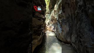 Guchu Pani Robbers Cave Dehradun Uttarakhand