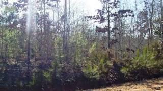 Homes for Sale - 0 Sandy Brook Circle Lot 7 Blk B Thomaston GA 30286 - Edward Phillips