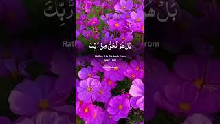 Surah Al sajda || Surah sajda || Quran surah sajda #islamic #shortvideo