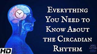 Everything You Need To Know About The Circadian Rythm