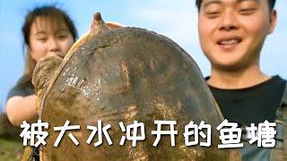 【戶外捕魚vlog】發現一口被大水沖開的魚塘，去裏面放地鉤，沒想到裏面的貨這麼大...#三農 #甲魚