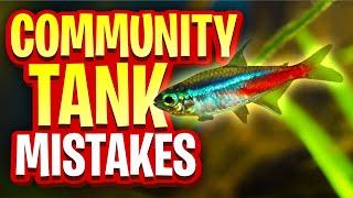 9 Mistakes I Made In My Community Tank So You Don’t Have To!