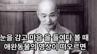 짐승을 기르지마라!  청화큰스님 .부처님을 마음속에 사모하고 그리워하여 부처님의 모습을 닮아가야 할 것인데 정반대로  축생의 모습을 닮아 간다면....