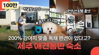 댕댕 만족도 최상! 펫스테이에 진심인 제주 애견동반 독채 펜션 [어나더하우스: 안성 강생이집]